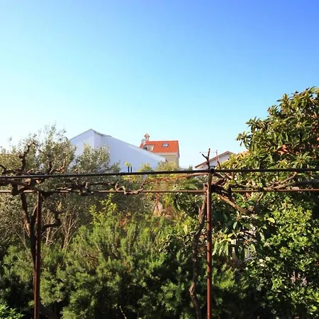 Daire Rosemary - Gorgeous Garden